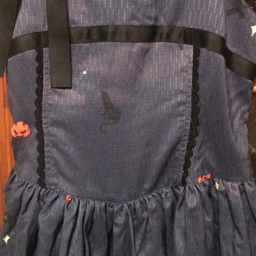 Lovely, never worn, adorable Halloween dress